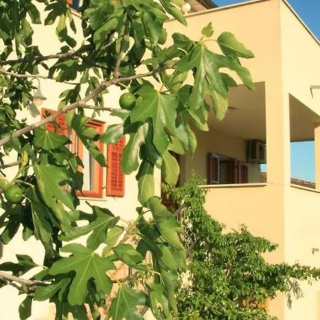 Apartment Premantura 3